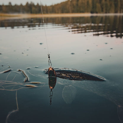 Der Norolan Light Spoon Groß