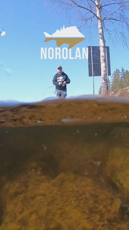 Der Norolan Disco Dancer